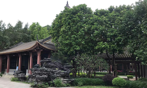 佛山佛山，有什么山？